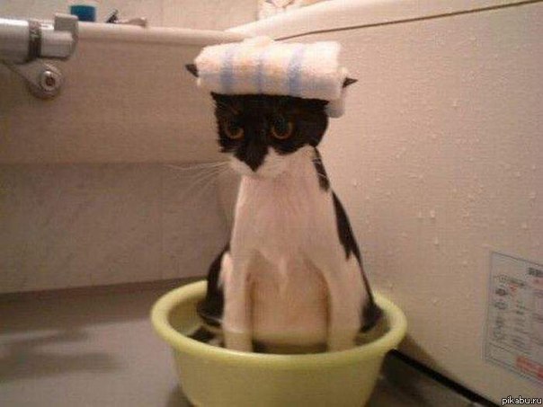 ������� - �����������