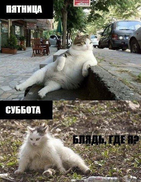 утро субботы