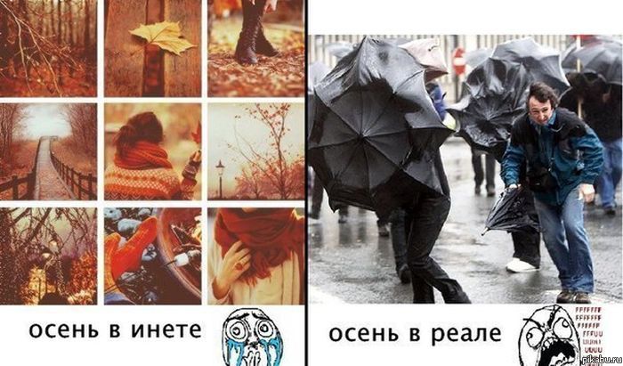 ������..