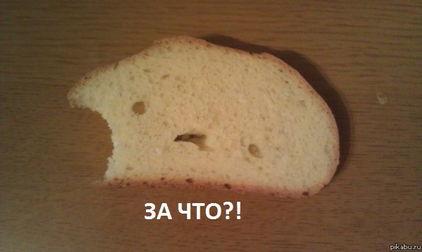 ������ ���� ���������