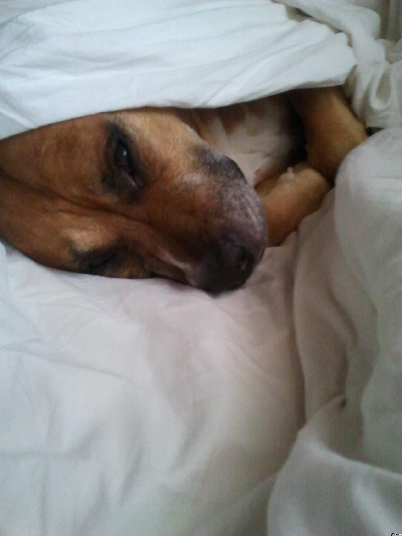 ��� ��� ������� �����- ���������� ���!))