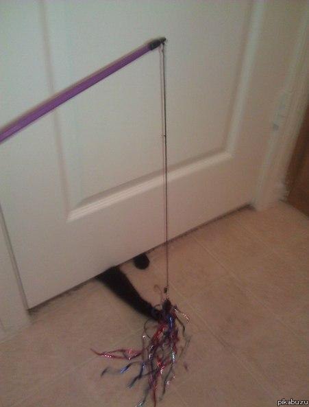 Чем занять себя в туалете