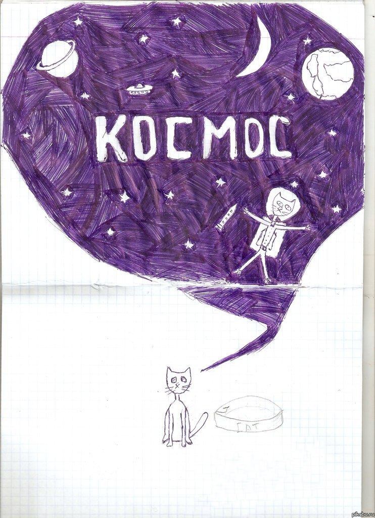 Котики тоже мечтают