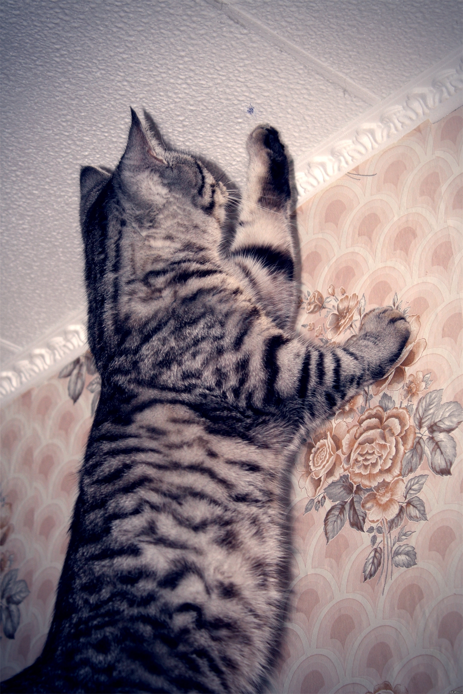 Я буду гореть в аду!