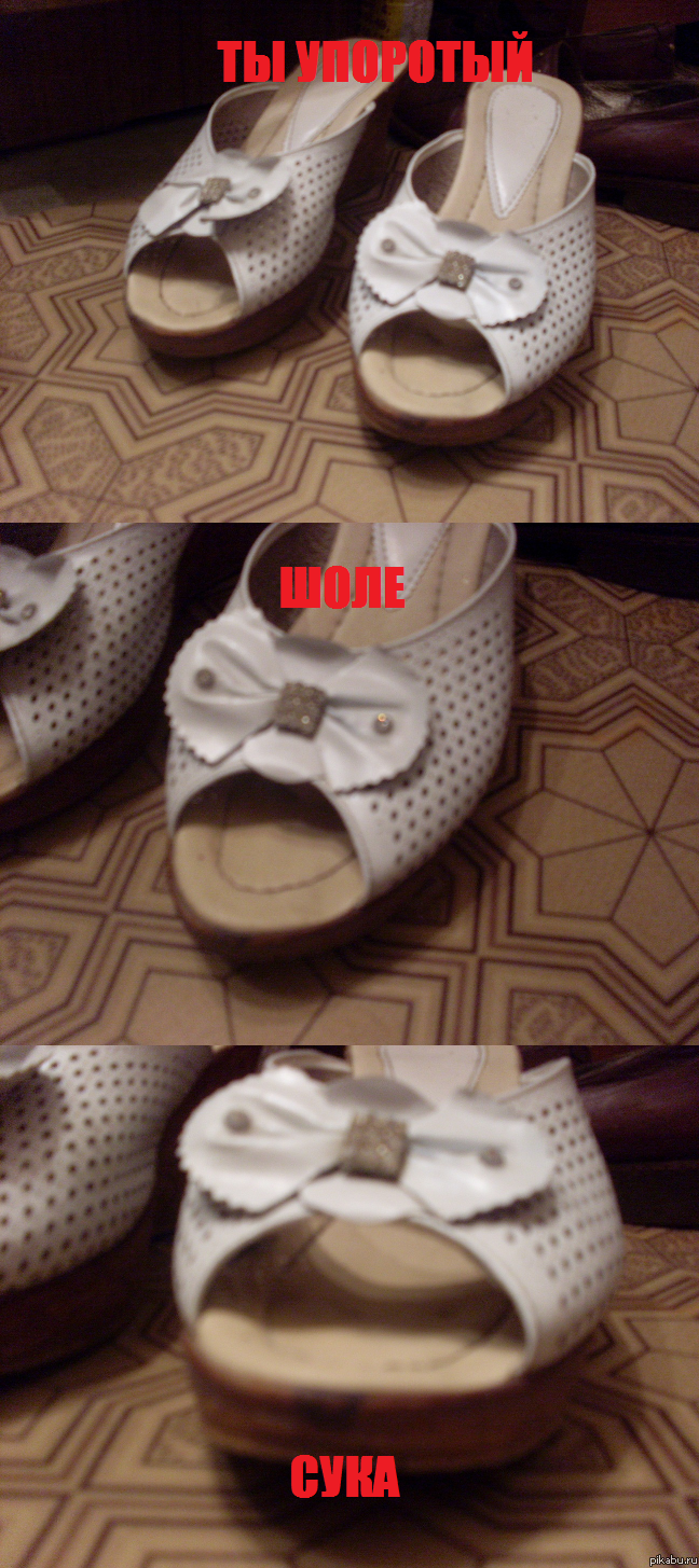 ������ ���������