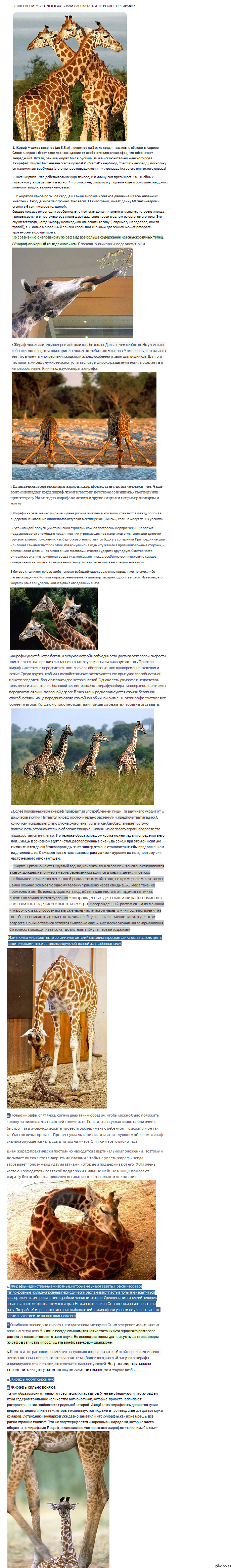 ОХУТИТЕЛЬНЫЙ ПОСТ №1