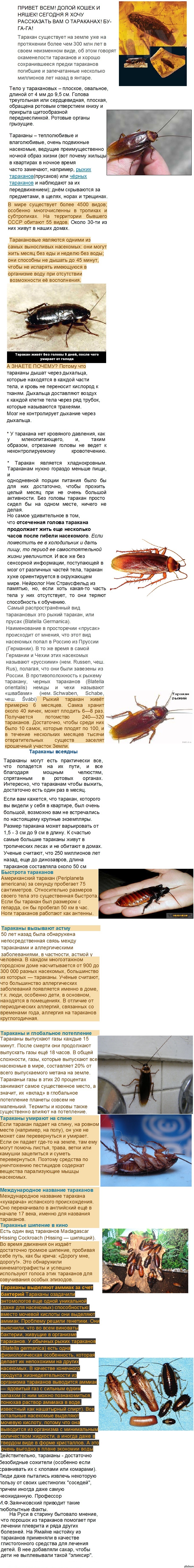 охуитетельный пост №2