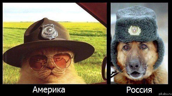 ������� - ������