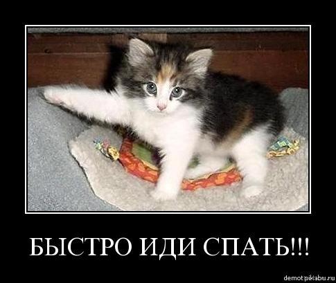 ��� ��� �����)