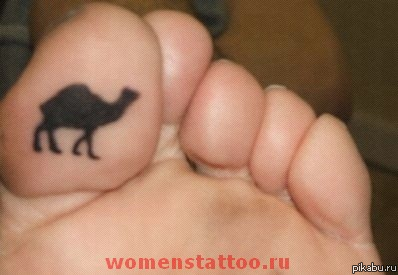 � ����� ��� ���� ������� ����� ����� �������...