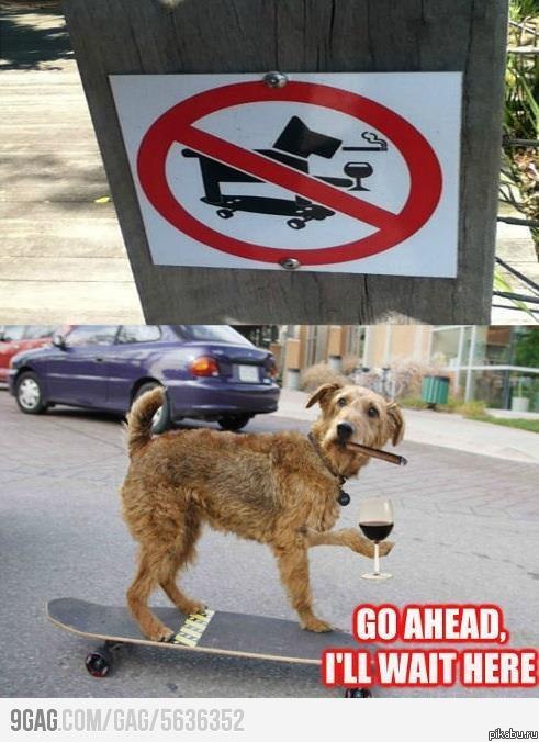 Иди, я подожду снаружи.