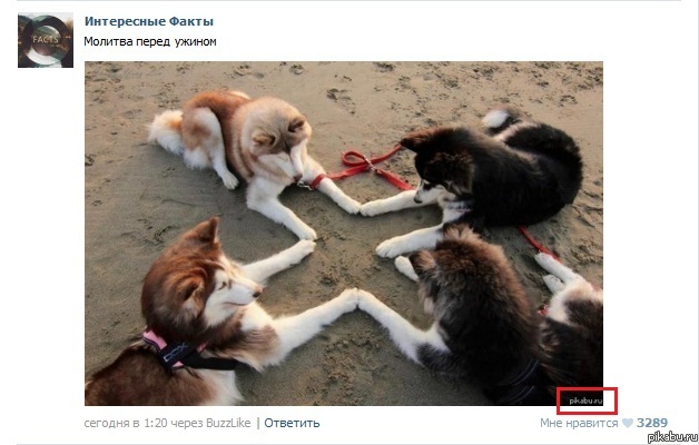 Теперь уже не только iFeed.