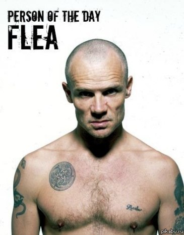 Ему сегодня ПОЛТИННИК!!!