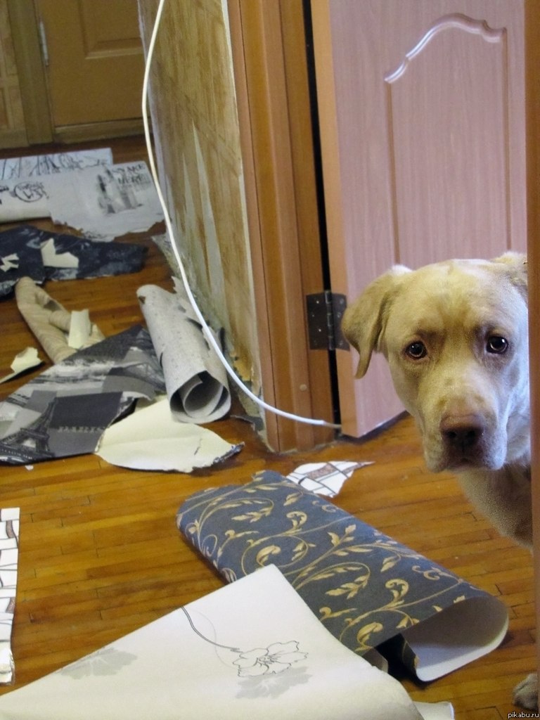 ��������!