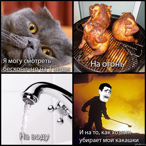 3 вещи, на которые можно смотреть бесконечно