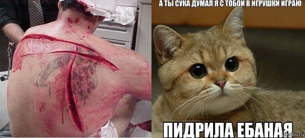  ,  ,     )))! 