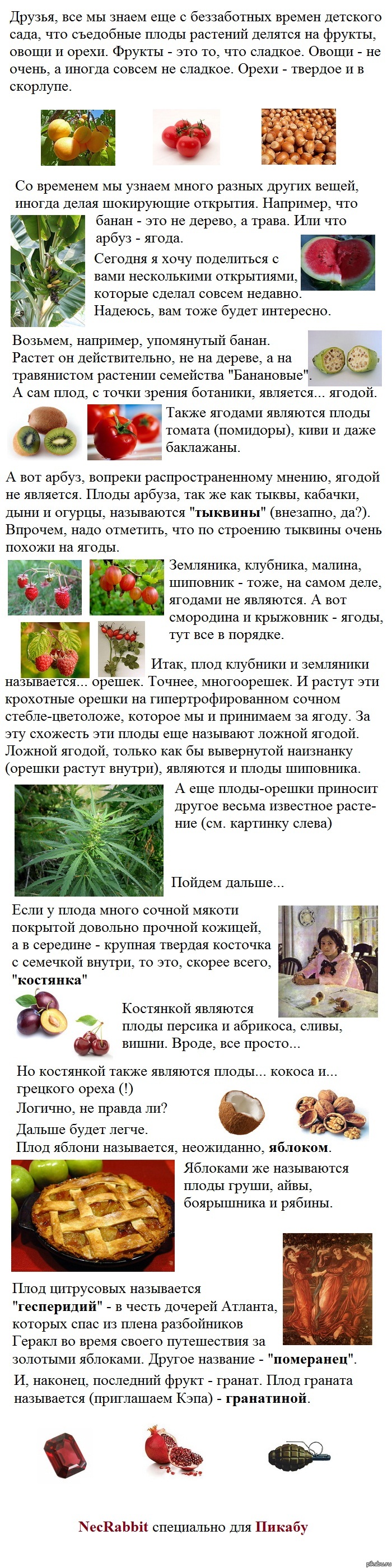 �������� ����