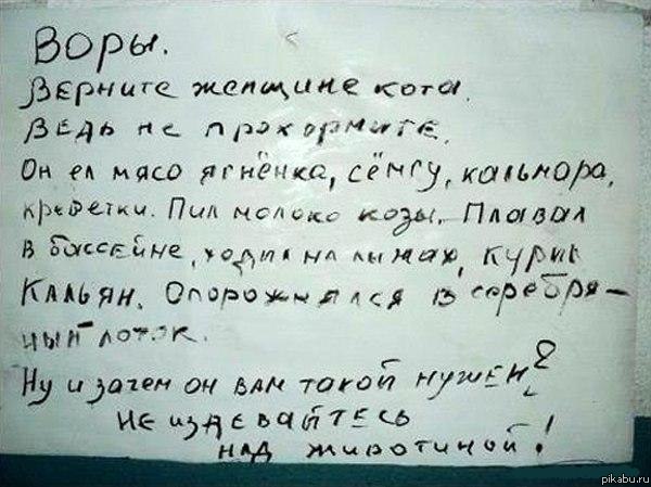 Изысканный кот