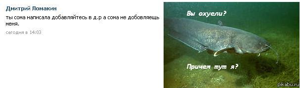 Сом)
