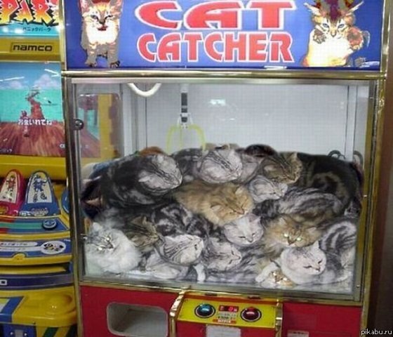 ��������� 80 ���