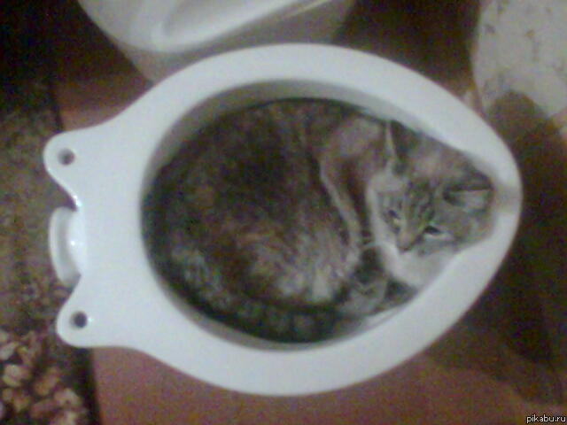 хорошо что у него это в привычку не вошло)