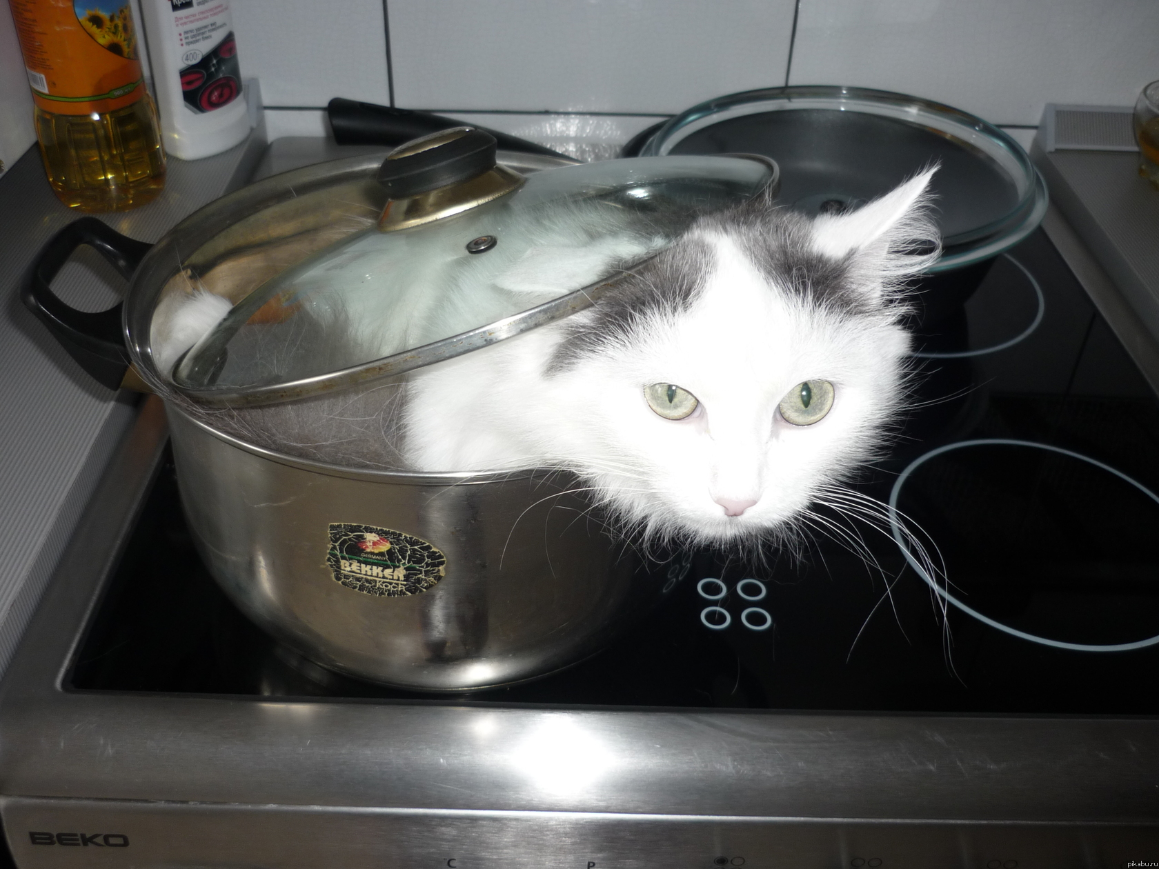 Мама оставила обед на плите :3