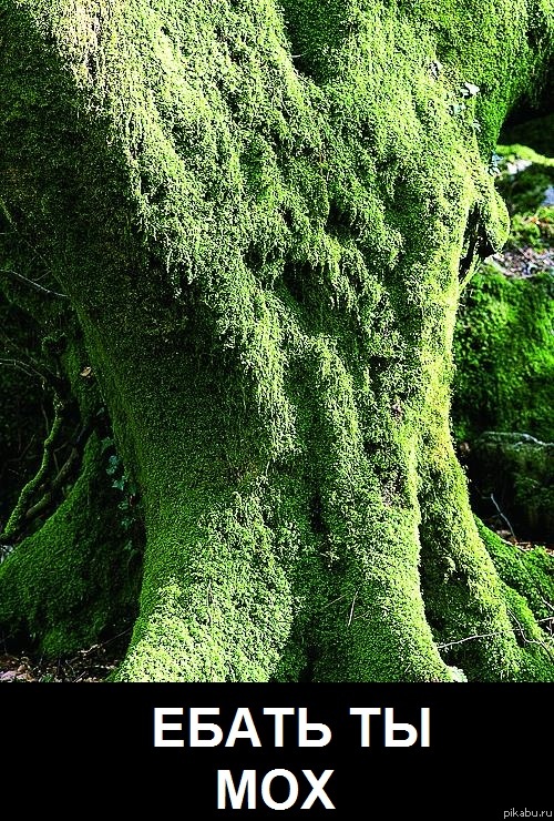 Будьте вежливыми