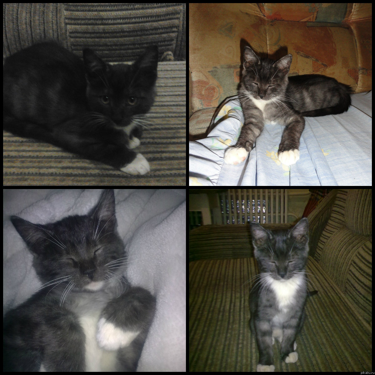 �������� ��������� ��� �������.