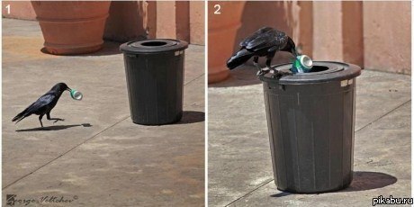 ���������� ������