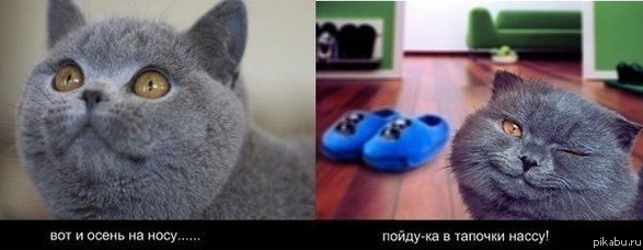 ����� �� ����