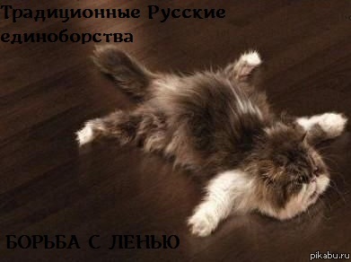 БОРЦУХА