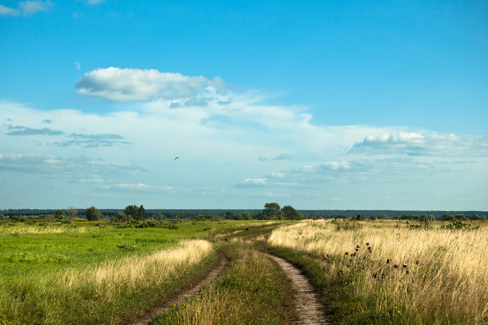 ������� ������� ����.