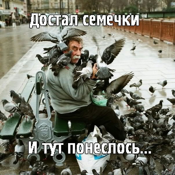 Немного бояна