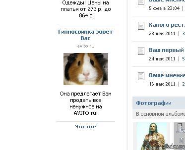 Гипносвинка зовет вас...