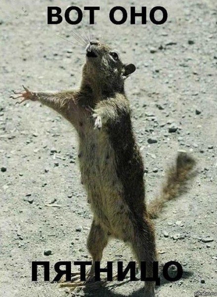 ��� ���! ��� ���!!!!!!1111111