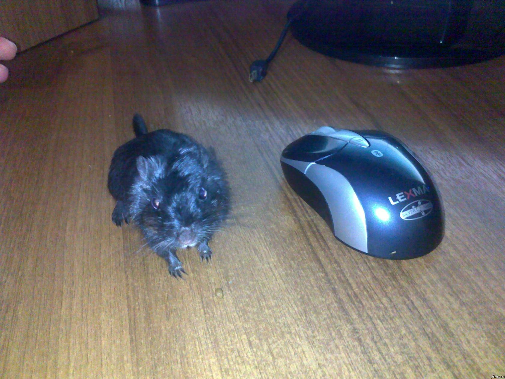 ��������... ���� �...