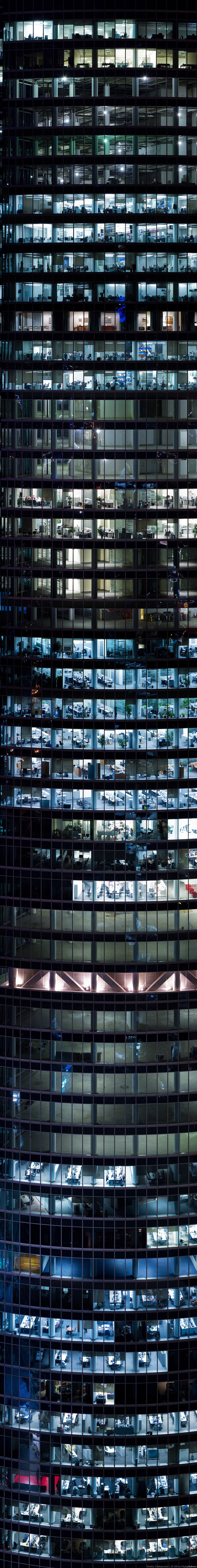 ������ ����. ��������. [����������].