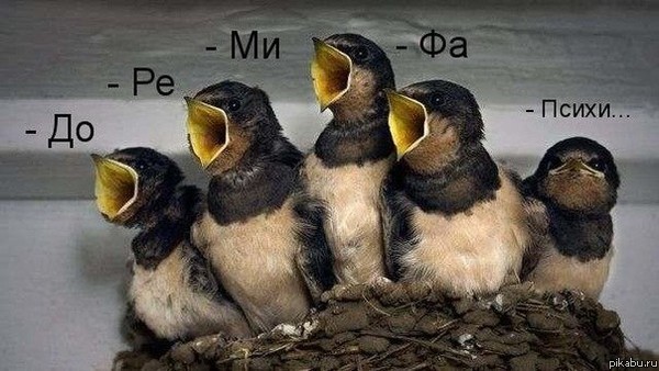 �����)