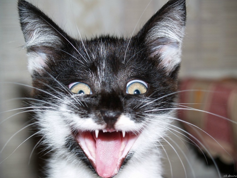 � ������ ��������� �� ������.