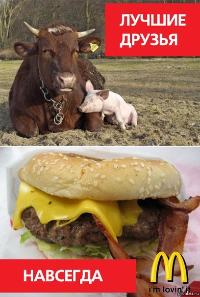 Лучшие друзья.