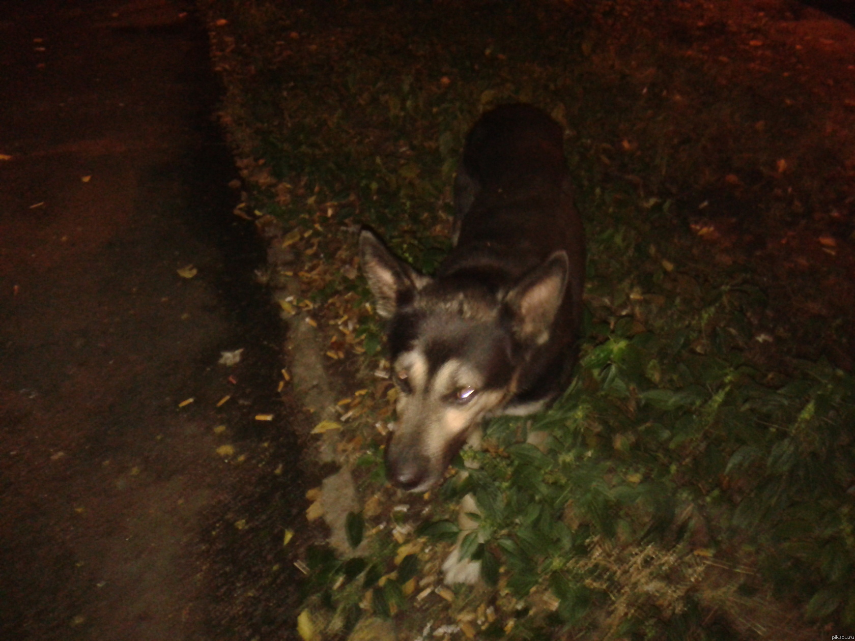 ������� ������. ������ �������(�����, � ������� �� ����, ����� �� �����). ������� ������� ����������. ���������. ����� ���������� ���������.