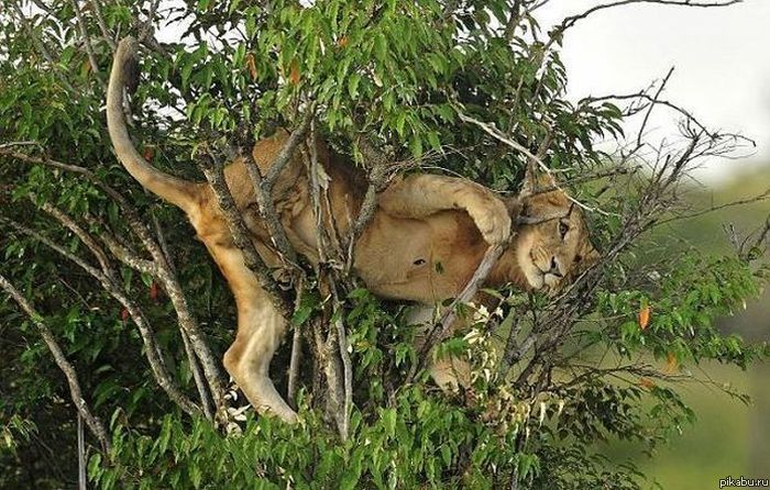 Застрял в текстурах!