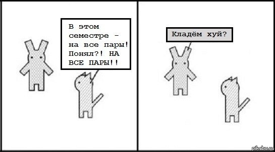 заяц пц | Пикабу