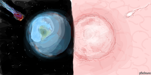 Как зарождается жизнь