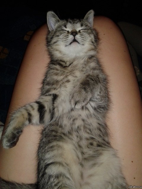 Спим ^.^