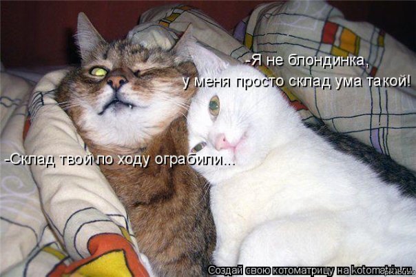 ��������� ����� ���������)))