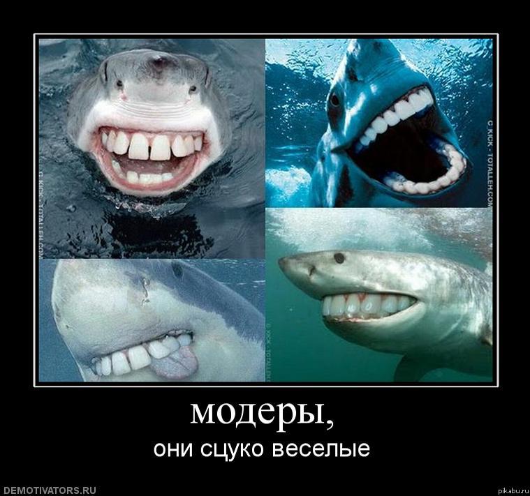 Этот баян веселит меня уже много лет!