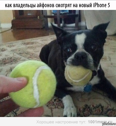 ��������� ����� ���������...