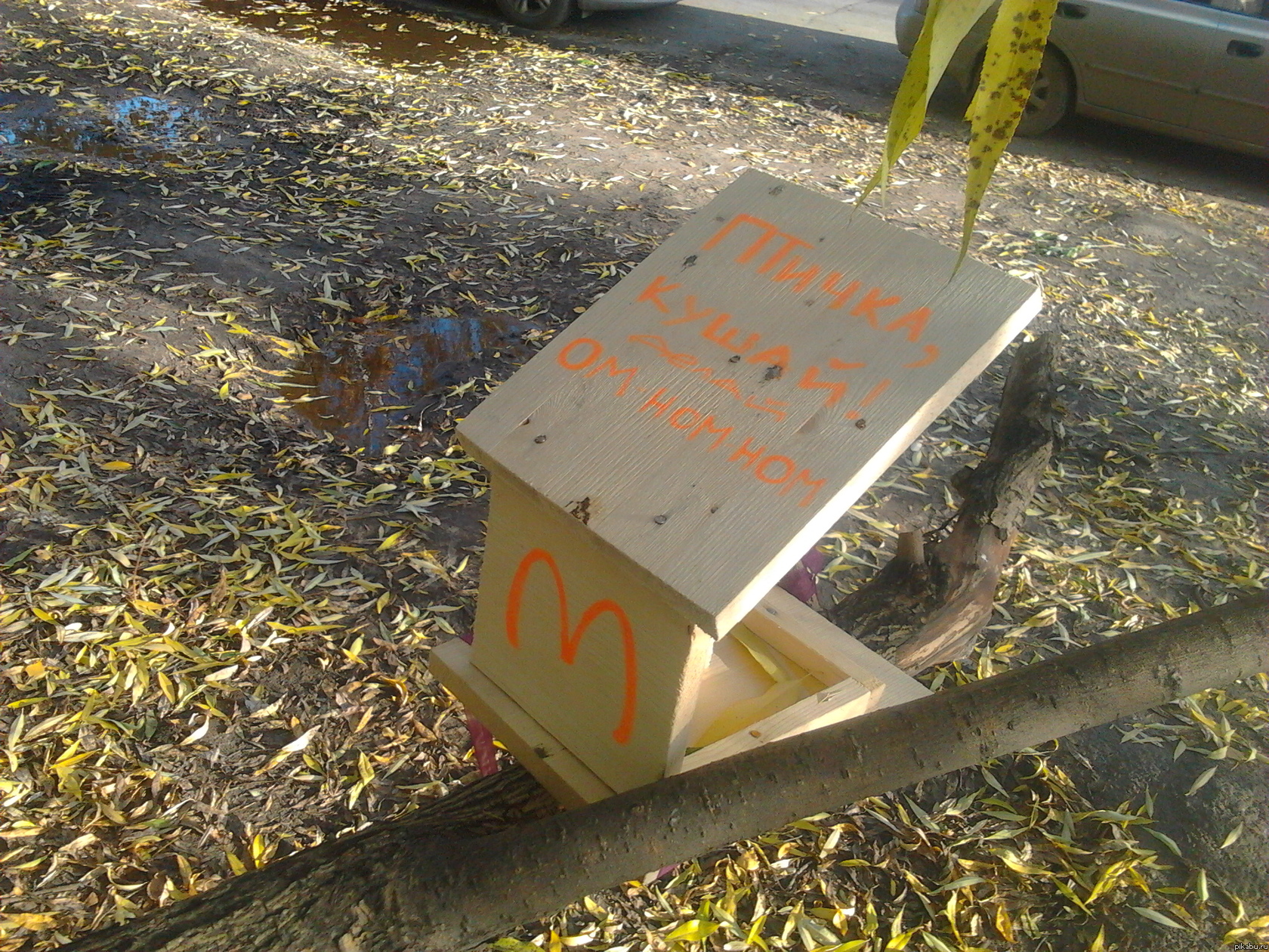 �������� ��� ����.