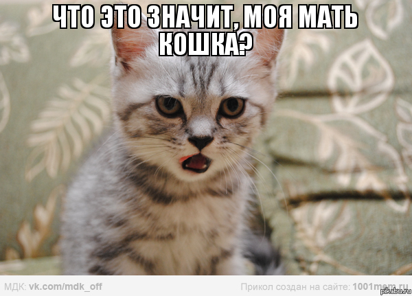 Как так?0_0